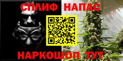 прущие грибы Шебекино