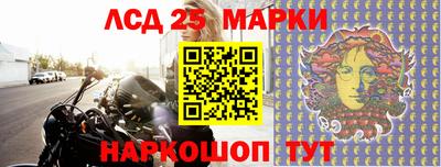 прущие грибы Шебекино